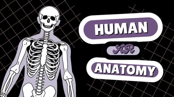 Human Anatomy AR